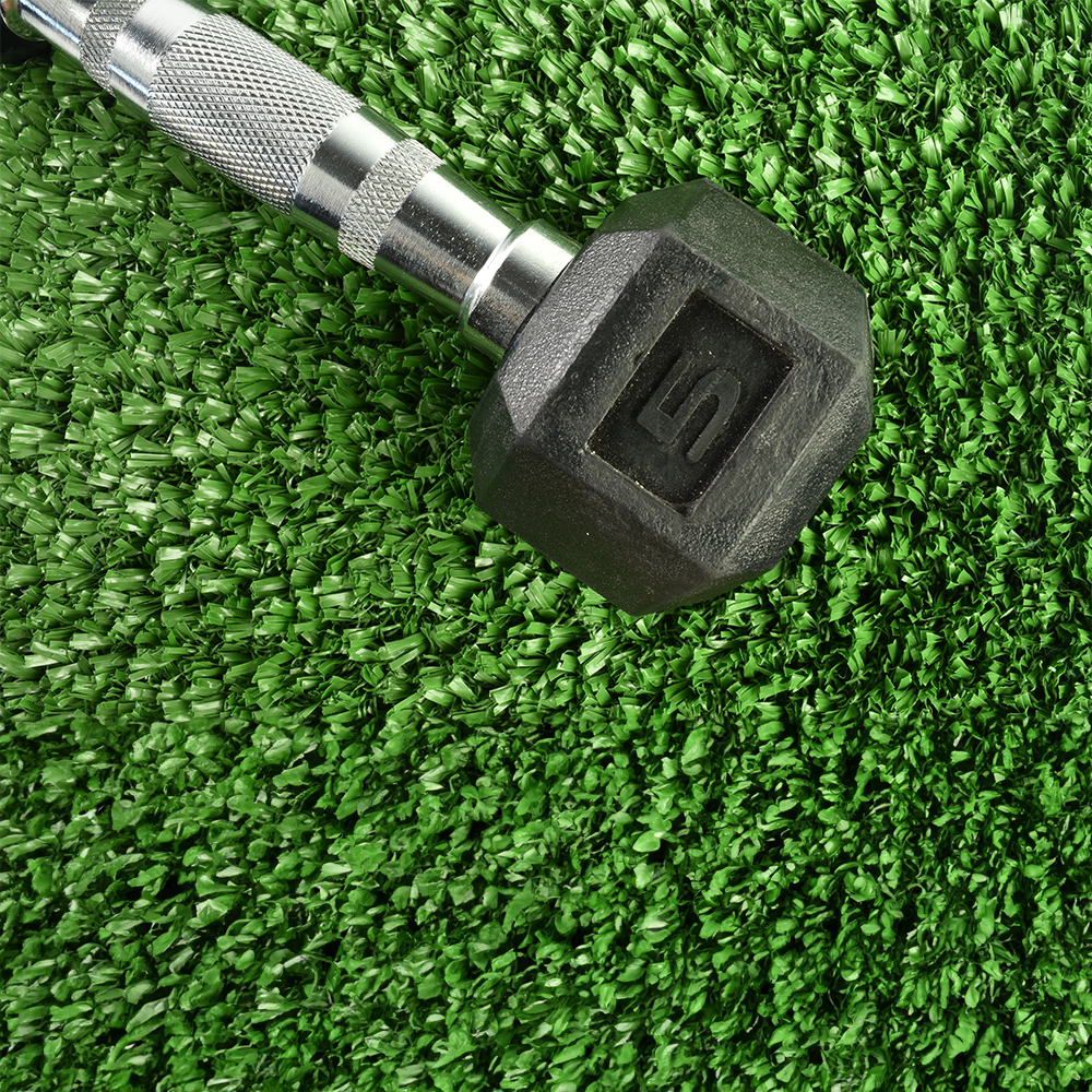 Fit Turf Indoor Artificial Turf with dumbbell