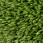Field/Olive/Apple Green