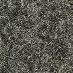 Charcoal