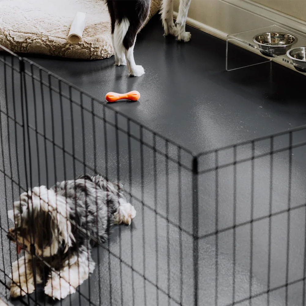 G-Floor Protective Kennel Floor Mat 5x10 Ft. two dogs on slate gray mat