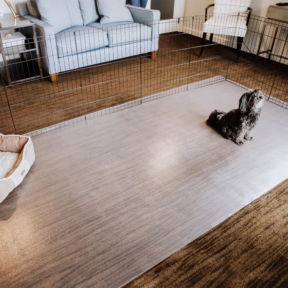 G-Floor Protective Kennel Floor Mat Ceramic Texture 50 Mil x 5x10 Ft. dog on clear mat over carpet