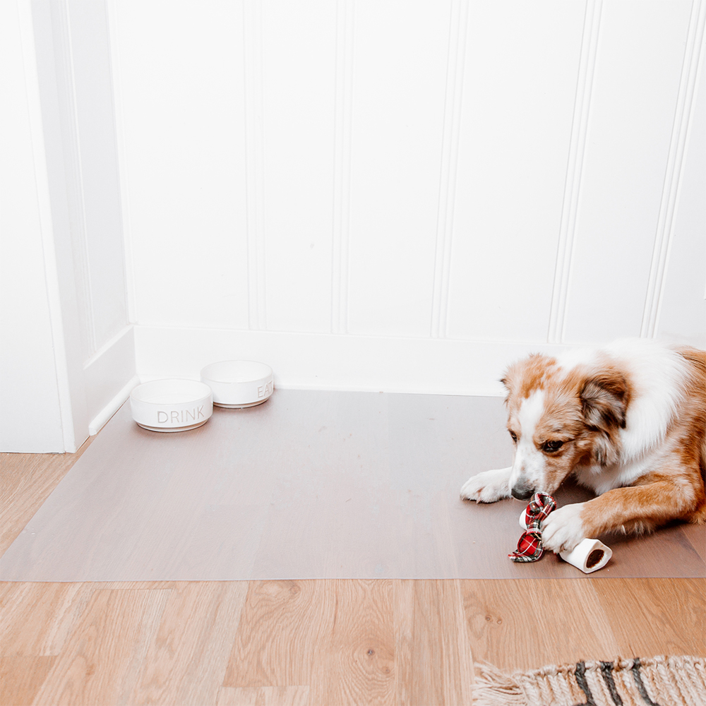 G-Floor Protective Kennel Floor Mat Ceramic Texture 1.4 mm x 5x10 Ft. clear with dog and bone