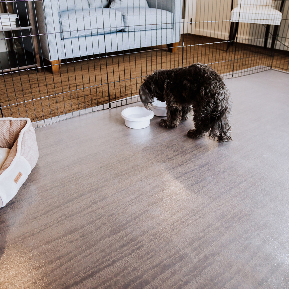 G-Floor Protective Kennel Floor Mat Ceramic Texture 1.4 mm x 5x10 Ft. clear with pet and bowl