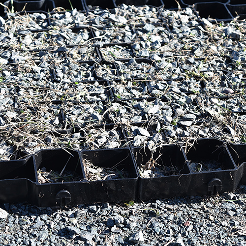 GeoGrid Cellular Paving System