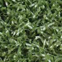 All Sport Artificial Grass Turf 12 ft wide-5mm padding-per LF Pine Green swatch