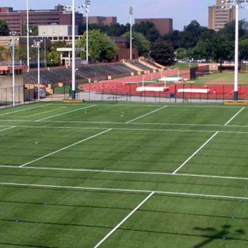 artificial turf for quidditch