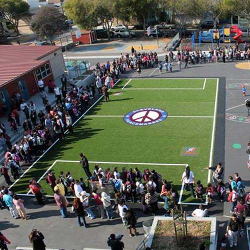 Arena Pro Soccer Turf Field outdoors