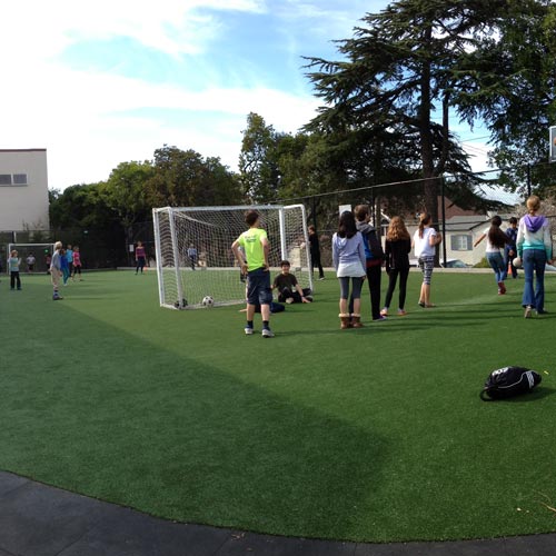 Arena Pro Soccer Turf Field outdoors