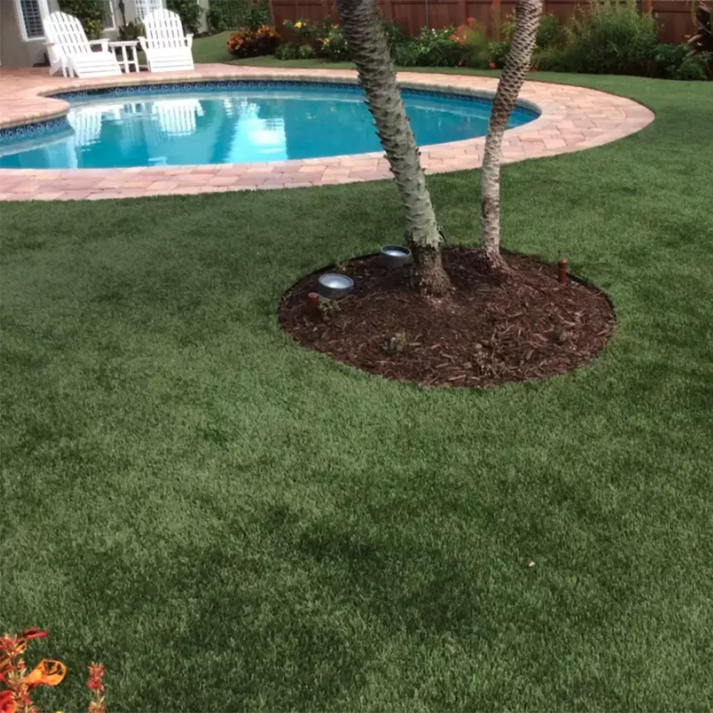residential turf grass in backyard by pool