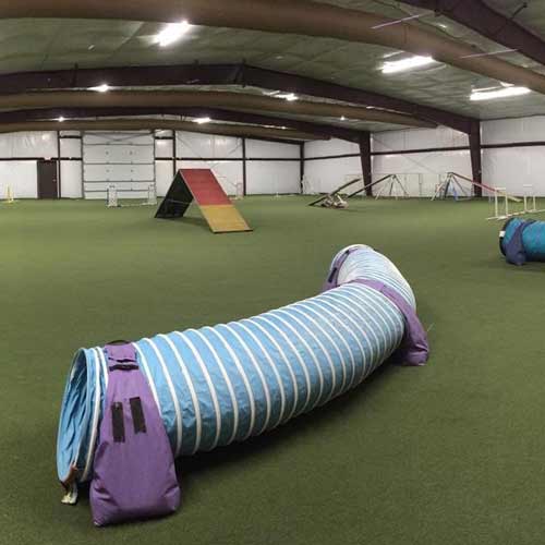 true turf installed indoor dog agility facilitiy