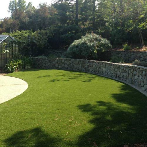  Pet Artificial Turf Roll 15 Ft wide Rock Wall