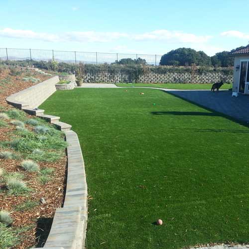 Catalina Artificial Turf Roll 7.5 Ft wide Backyard