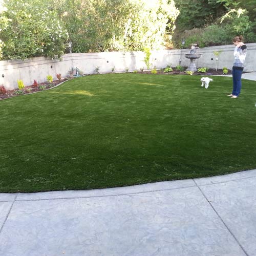grass turf that is pet or animal friendly