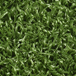 Green Pine