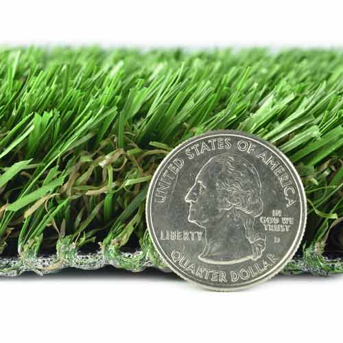 Coastal Cut Turf Thickness