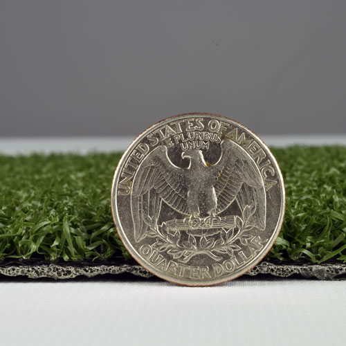 grass turf thickness