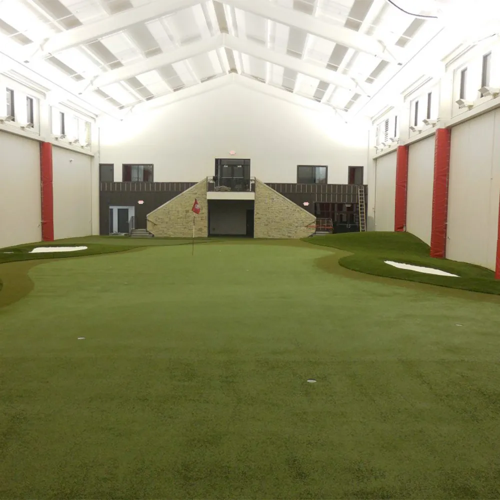 best putting green turf