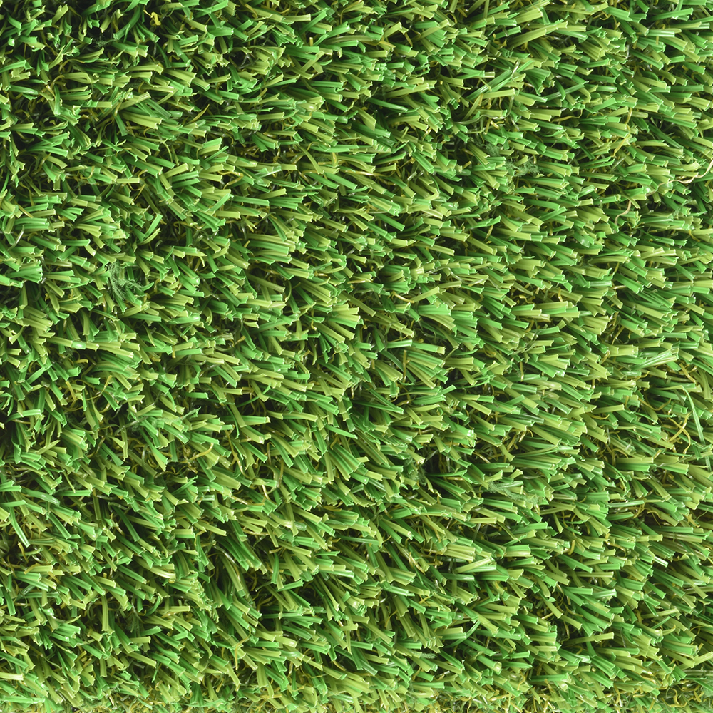 Meadow/Olive