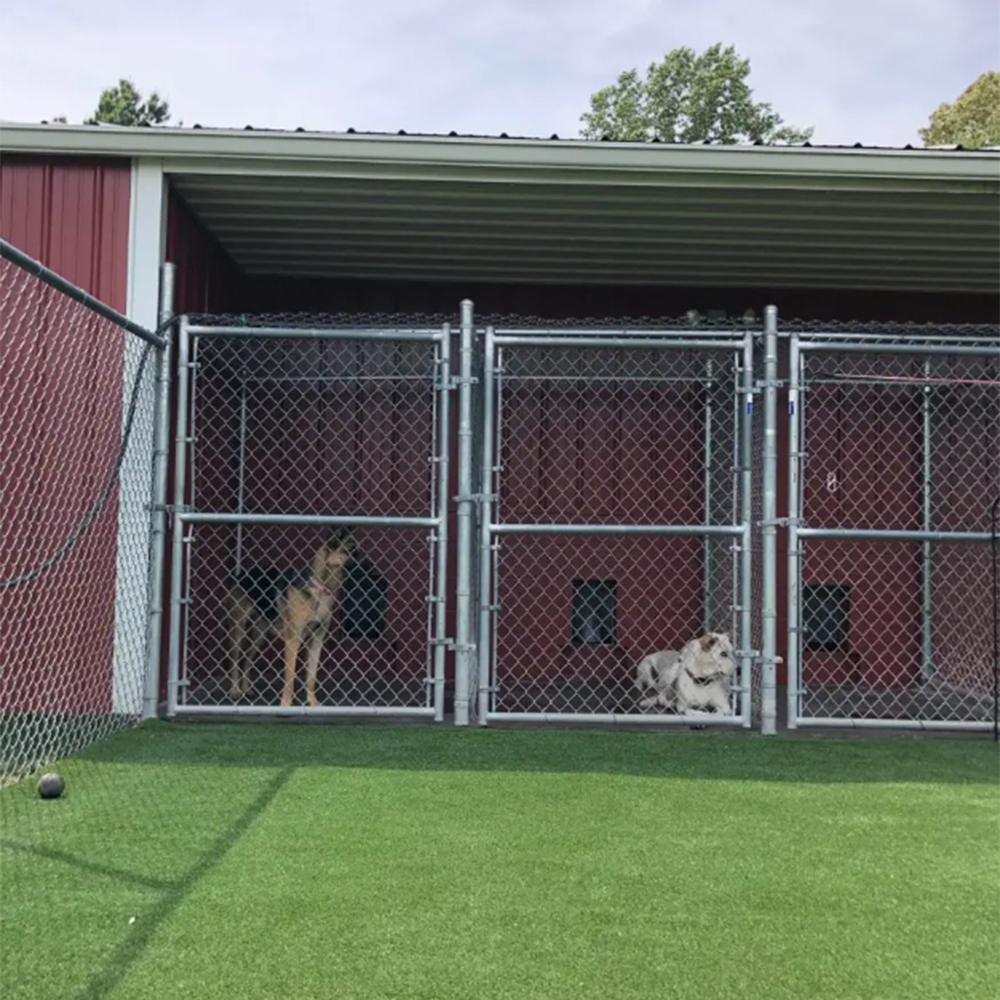 artificial turf in outdoor dog play area with outdoor dog kennels in background
