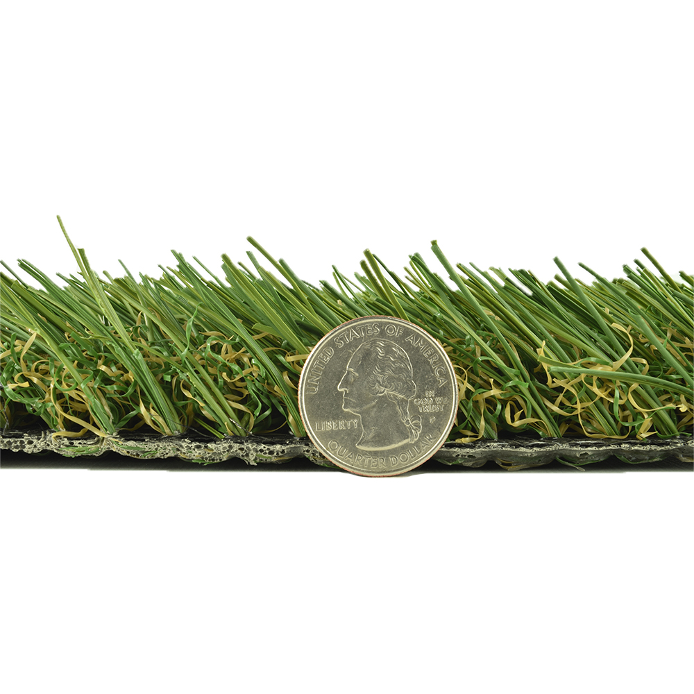 Sunny Sod Artificial Turf thickness comparison with quarter