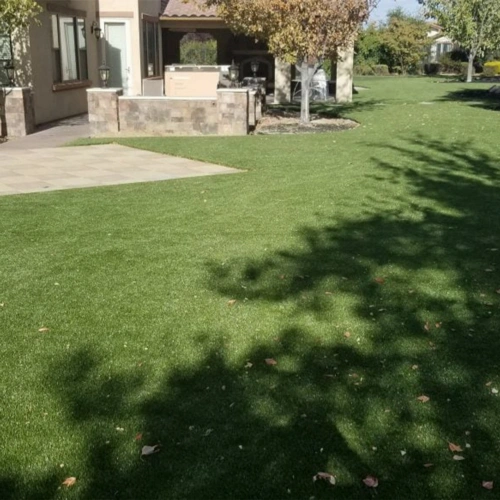 artificial turf in landscaping back yard