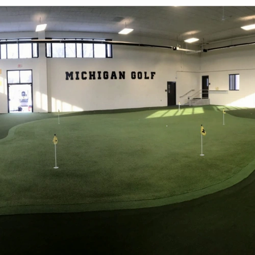 true turf indoor michigan golf putting green