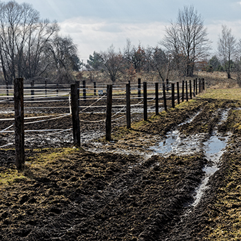 using mud control grids or mats to fix muddy paddocks