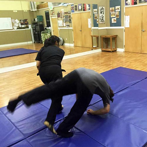 Foldable gym mat for martial arts