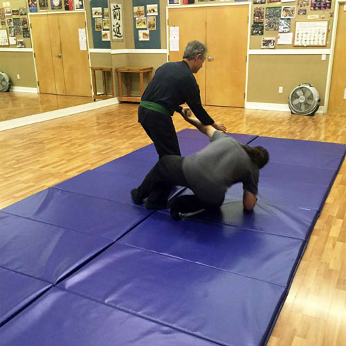 folding martial arts takedown mat