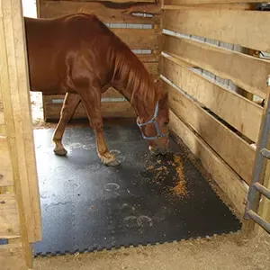 Horse Stall Mats