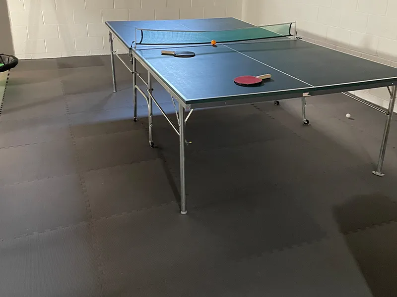 Ping Pong Table with Premium Foam Tiles