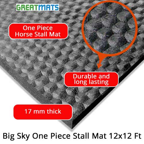 12x12 Ft One Piece Rubber Horse Stall Mat