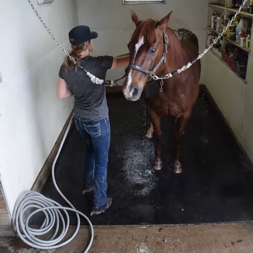 thick rubber mats in horse stall wash bay