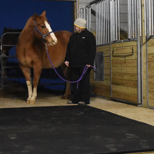 Horse Stall Mats 10x12 Ft Kit - Natural barn Aisle.