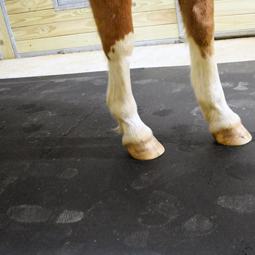 rubber horse mats