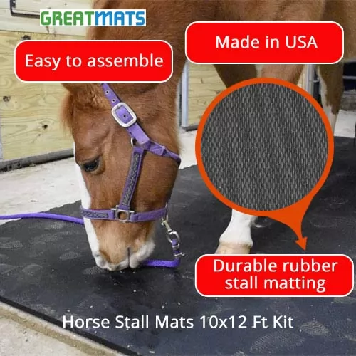 Horse Stall Mats 10x12 Ft Kit info graphic.