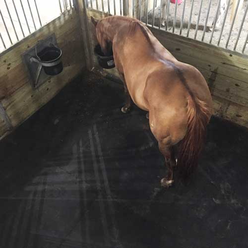 Horse Stall Mats 10x12 Ft Kit - Natural aerial view horse.