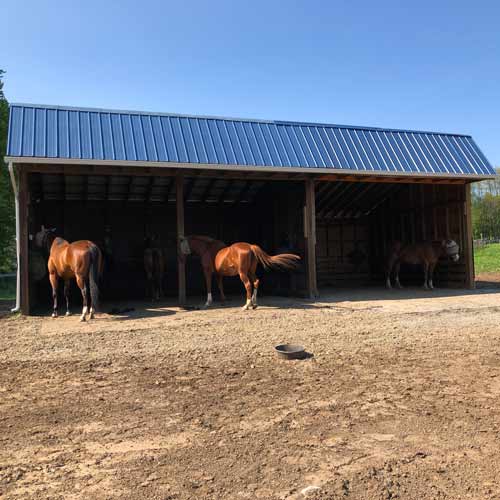 Horse Shed Mats 4x6 Ft x 3/4 Inch Center Black customer horsebarn.