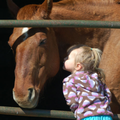Quarter Moon Acres Equine Assisted Therapy Horse and Child thumbnail