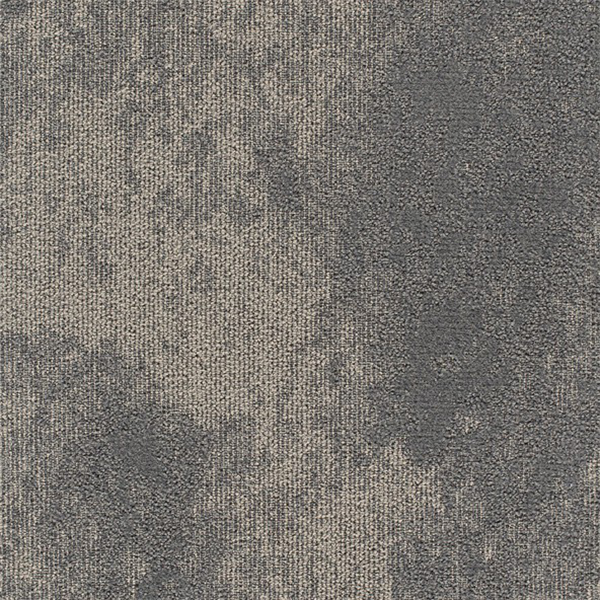 High Tide Commercial Carpet Tile .31 Inch x 50x50 cm per Tile Stingray close up