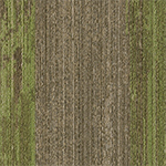 Ingrained Commercial Carpet Plank Colors .28 Inch x 25 cm x 1 Meter Per Plank Beech Grass Color Swatch