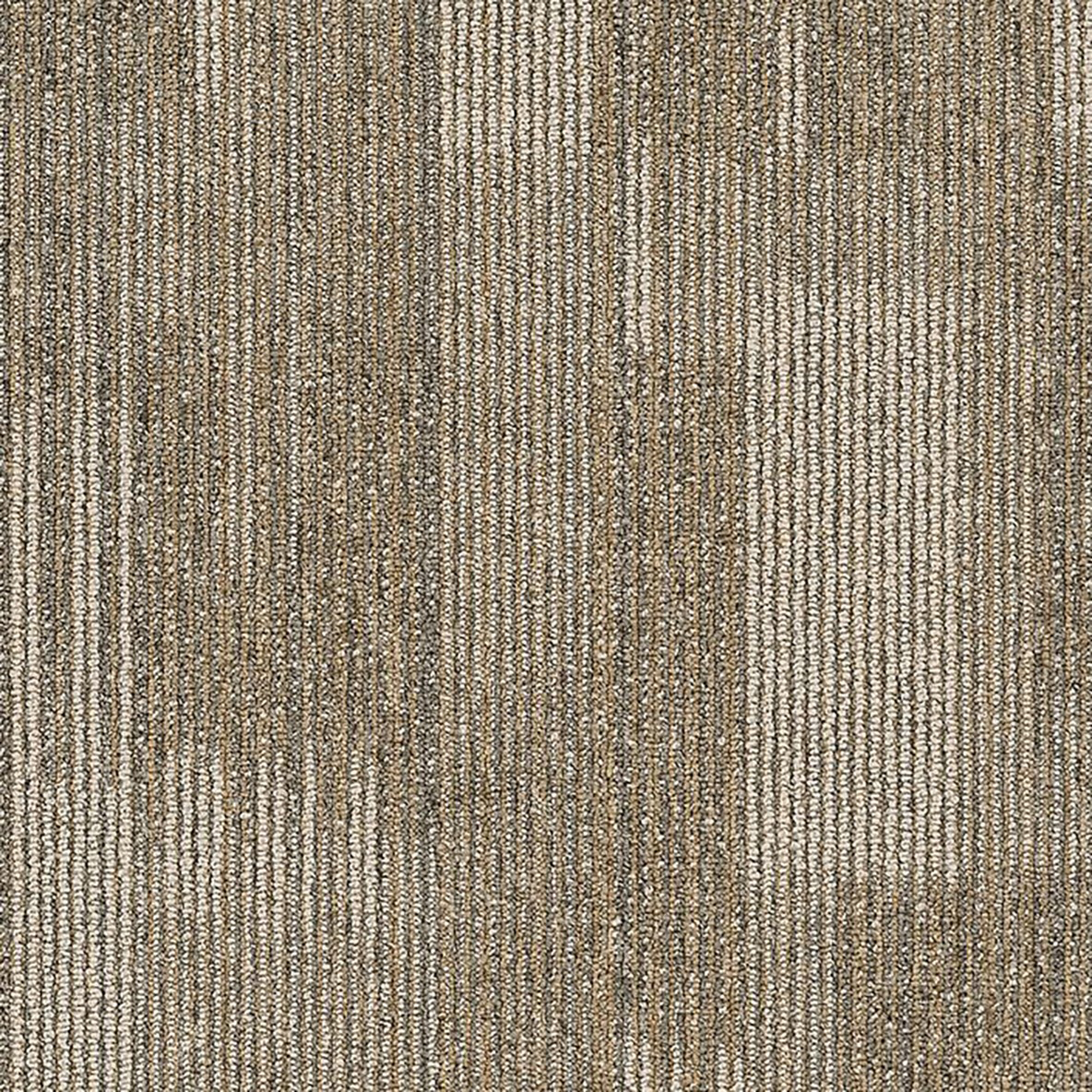 Point of View Commercial Carpet Plank .27 Inch x 18x36 Inches 10 per Carton Astute color close up