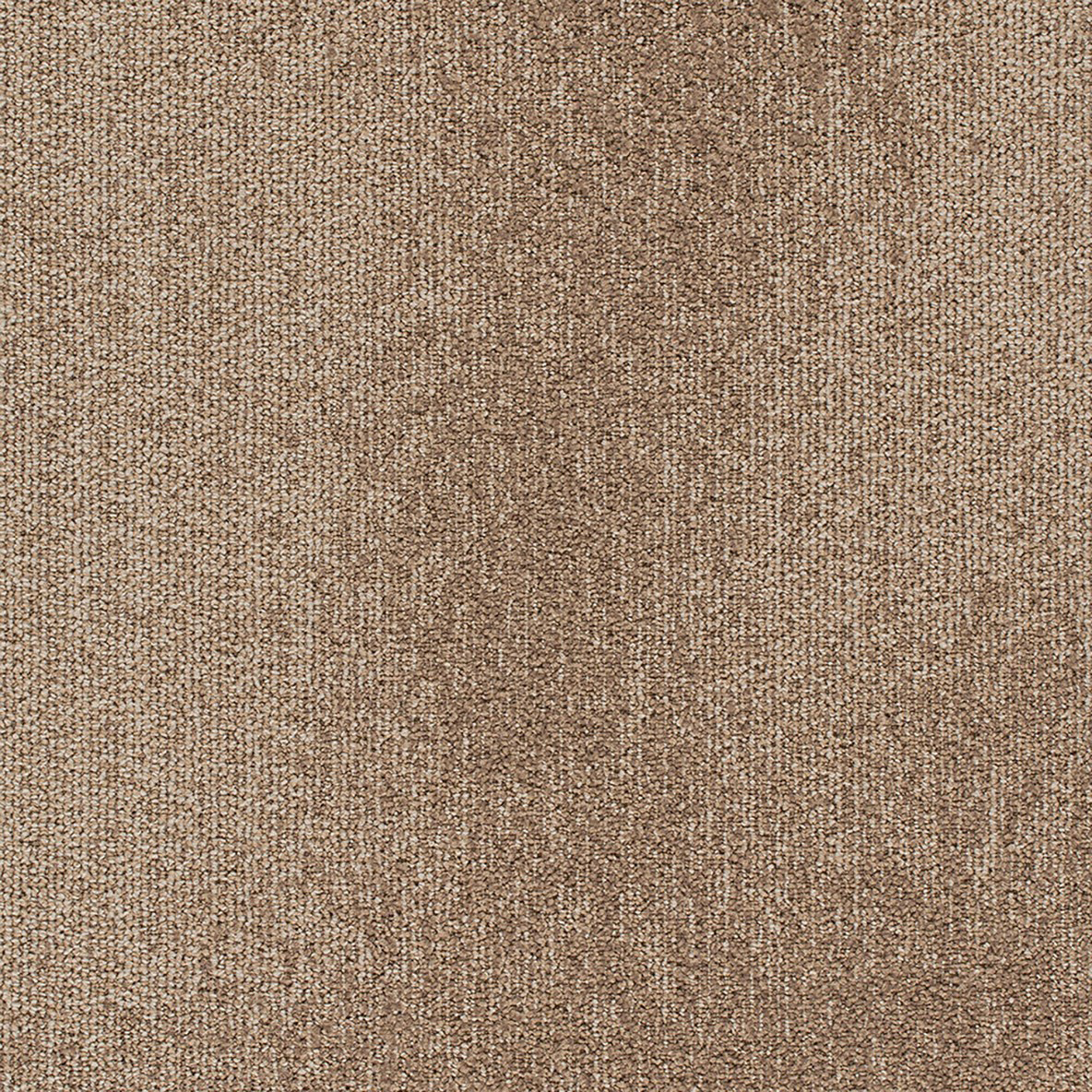 alt=