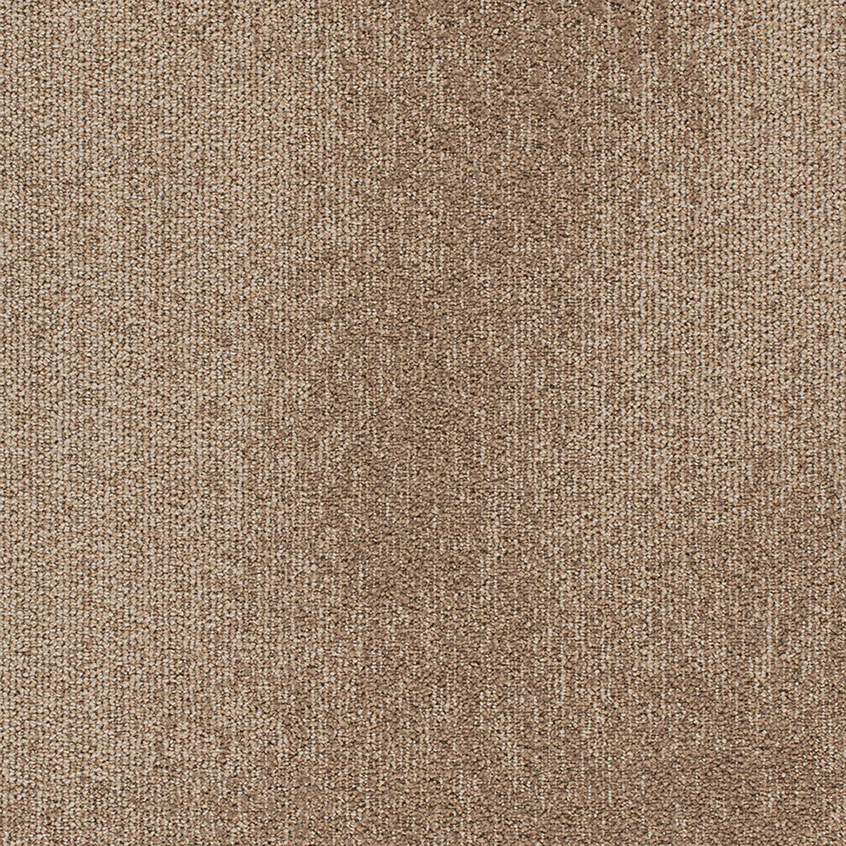 Understatement Commercial Carpet Tile .31 Inch x 50x50 cm per Tile Nautilus color close up