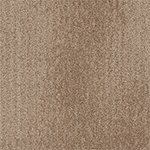 Understatement Commercial Carpet Tile .31 Inch x 50x50 cm per Tile Nautilus color swatch