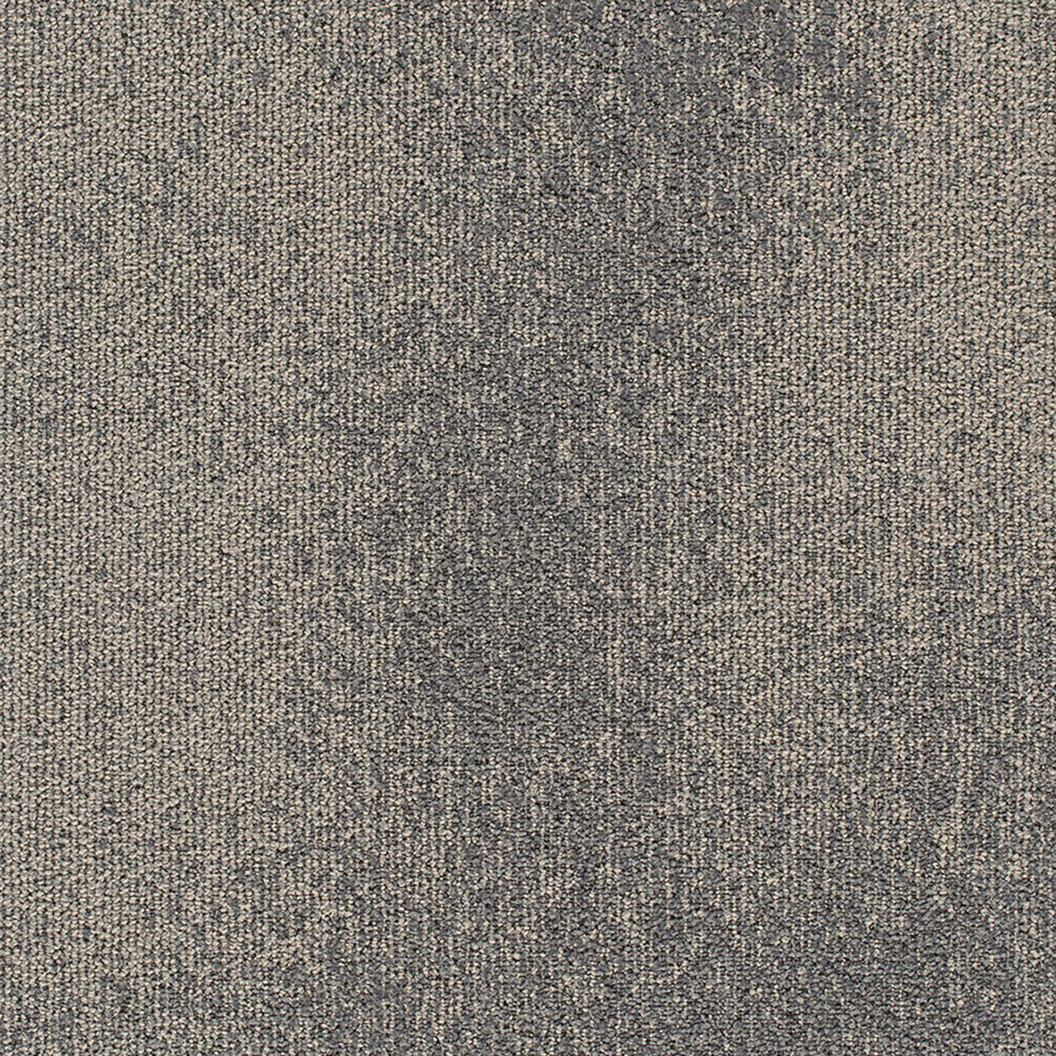 Understatement Commercial Carpet Tile .31 Inch x 50x50 cm per Tile Stingray color close up