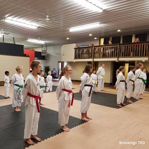 wood grain and solid color foam mat pattern flooring in dojo