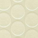 Birch White