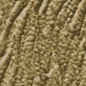 Shaker Beige