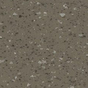 Pigeon Gray
